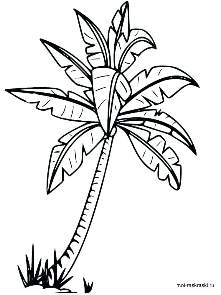 Luau Coloring Pages Hula Girl Coloring Page Com In Inspirations 7 750x1000 Luau Coloring Pages Hula Girl Coloring Page Com In Inspirations 7