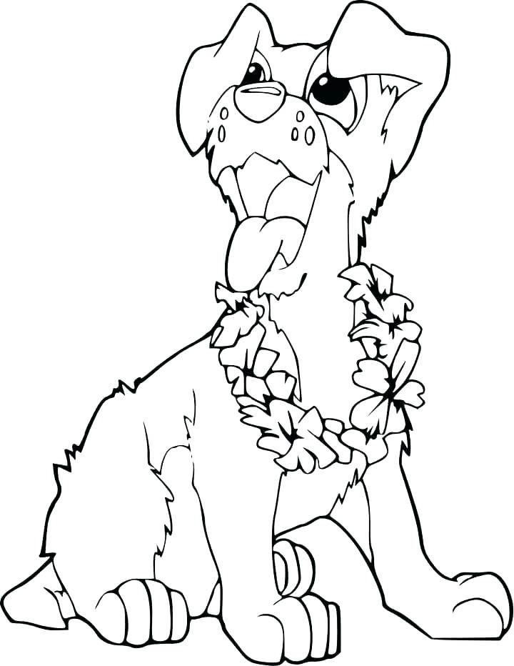 Luau Coloring Pages Hula Girl Coloring Page Hula Girl Coloring 720x932 Luau Coloring Pages Hula Girl Coloring Page Hula Girl Coloring