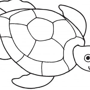 Hawaiian Turtle Coloring Pages at GetColorings.com | Free printable ...