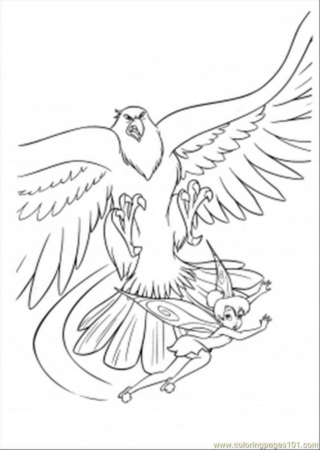 Hawk Coloring Page 650x913 Hawk Coloring Page
