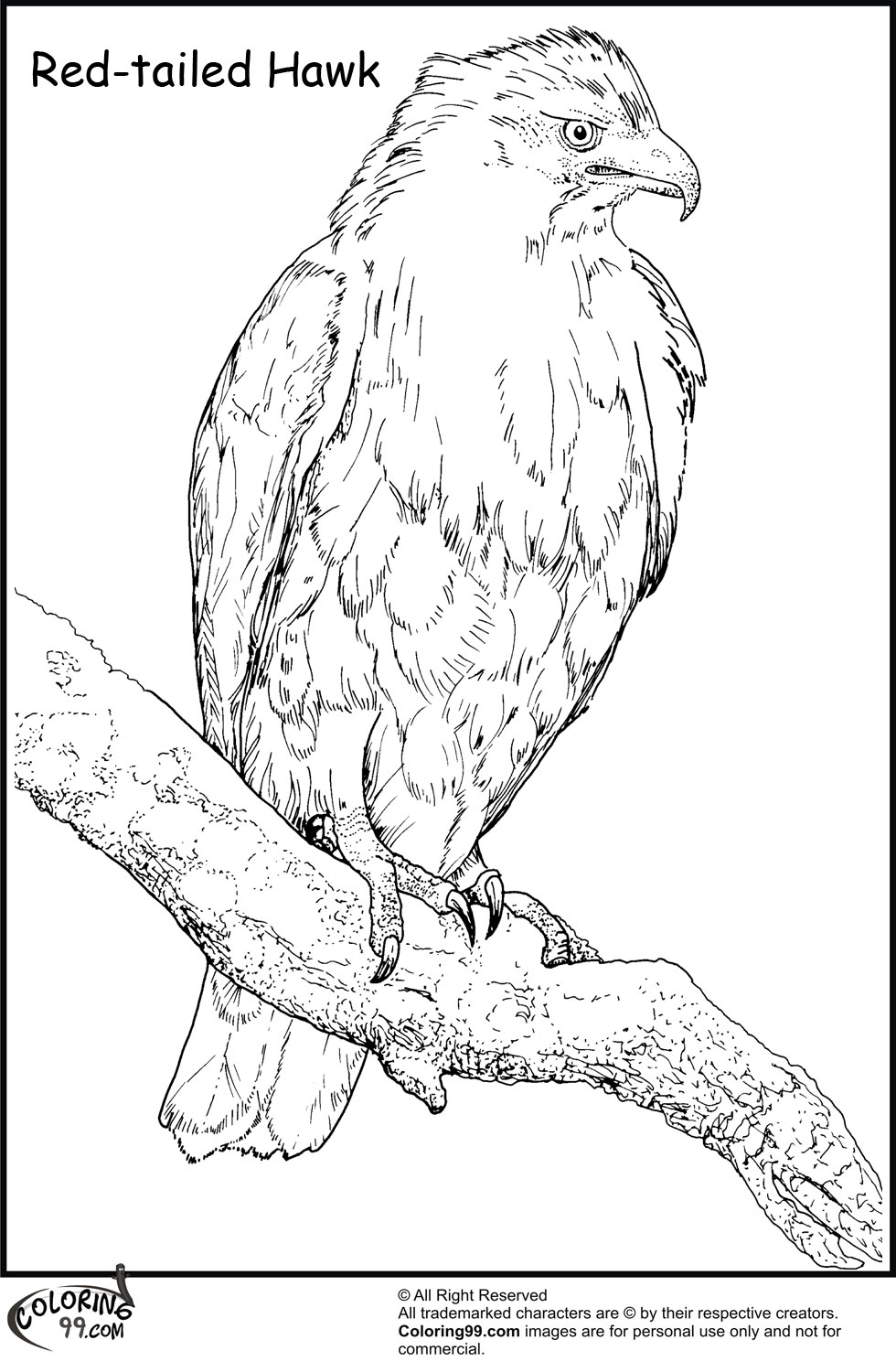 Hawk Coloring Pages Team Colors 980x1500 Hawk Coloring Pages Team Colors