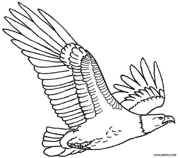 Printable Eagle Coloring Pages For Kids Cool2bkids Coloring 623x552 Printable Eagle Coloring Pages For Kids Cool2bkids Coloring