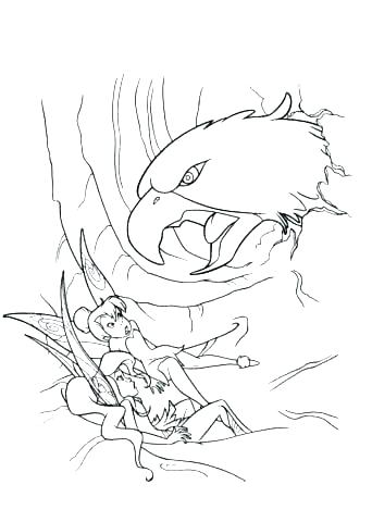 Hawk Coloring Pages 342x480 Hawk Coloring Pages