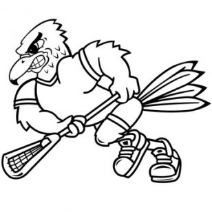 Awesome Book Hawks Coloring Pages 308x308 Awesome Book Hawks Coloring Pages