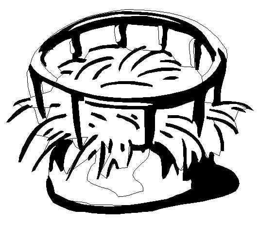 Farm Coloring Pages, Fun For Kids 533x463 Farm Coloring Pages, Fun For Kids