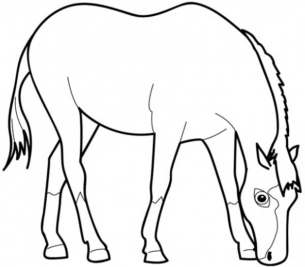 Horse Eating Grass In Horses Coloring Page 600x525 Horse Eating Grass In Horses Coloring Page