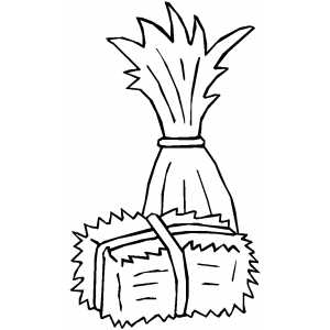 Cornstalk And Hay Coloring Page 300x300 Cornstalk And Hay Coloring Page