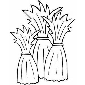 300x300 Hay Coloring Pages Lovely Corn Stalk Coloring Page Funycoloring