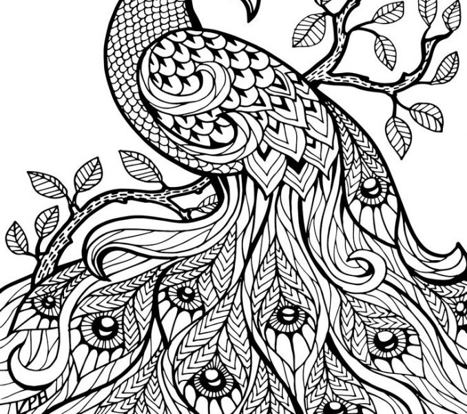 Free Coloring Page Best 25 Free Coloring Pages Ideas 678x600 Free Coloring Page Best 25 Free Coloring Pages Ideas