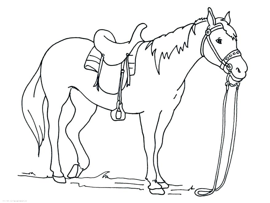 878x659 Headless Horseman Coloring Pages