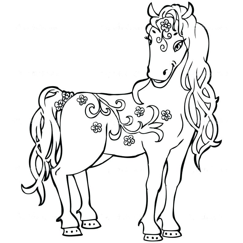 792x792 Coloring Pages Horses Horse Coloring Page Large Size Of Luxury