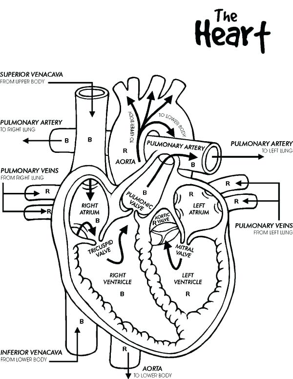 Heart And Key Coloring Pages at GetColorings.com | Free printable ...
