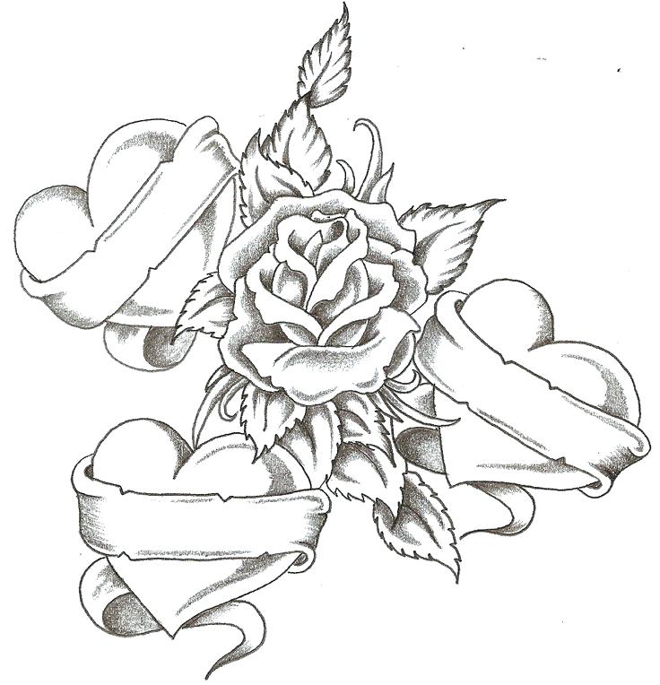 Coloring Pages For Girls Flowers Coloring Pages Of Flowers 736x764 Coloring Pages For Girls Flowers Coloring Pages Of Flowers
