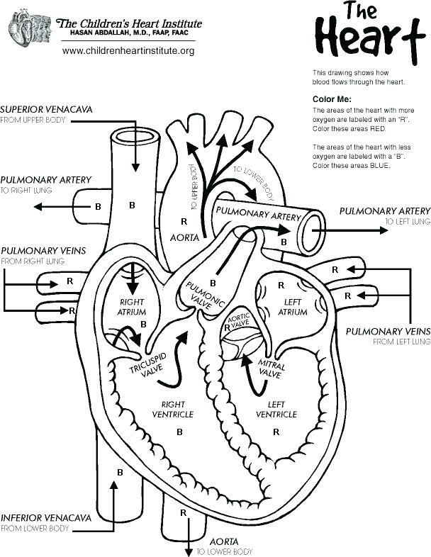 Printable Heart Coloring Pages 608x786 Printable Heart Coloring Pages