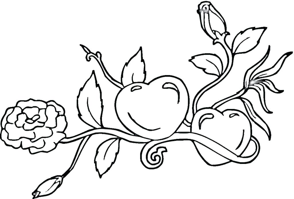 1024x692 Calgary Flames Coloring Pages Flames Calgary Flames Coloring