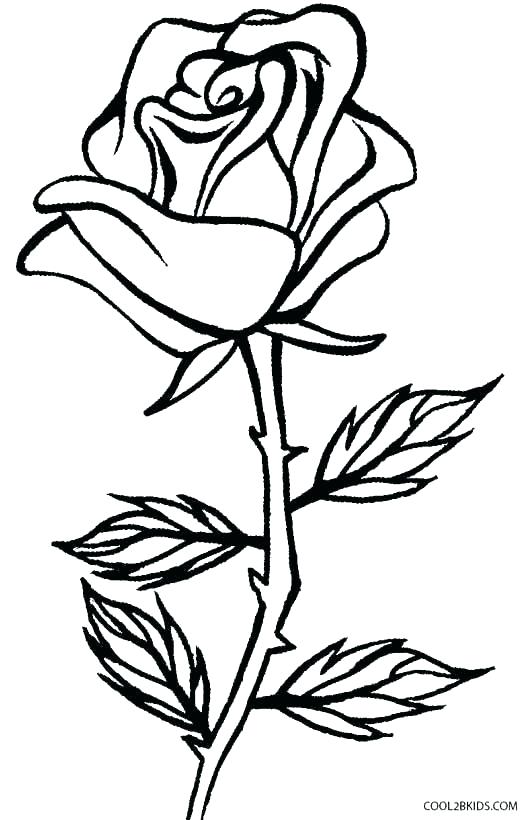 531x820 Coloring Pages Of Hearts Roses Coloring Pages Amazing Roses