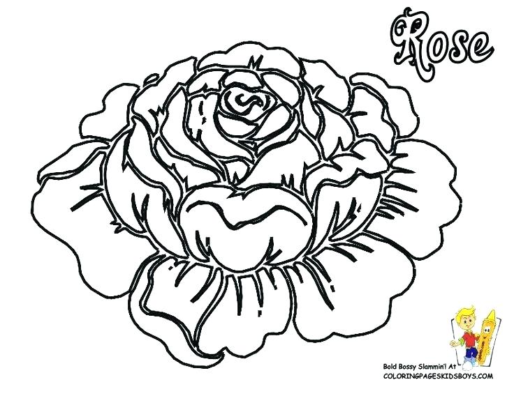 736x568 Coloring Pages Of Roses And Hearts Coloring Pages Of Roses Hearts