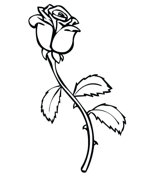 618x729 Bouquet Of Roses Coloring Pages Page Image Images Dark Bleeding