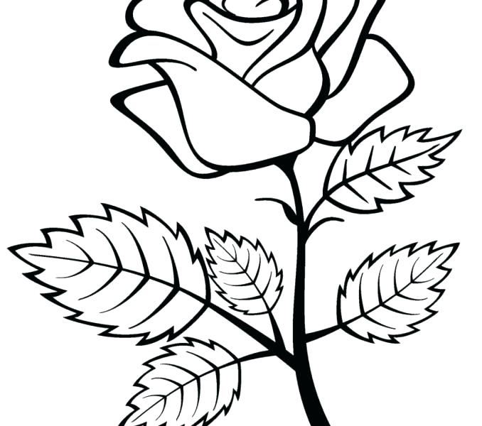 Hearts And Roses Coloring Pages Printable at GetColorings.com | Free ...