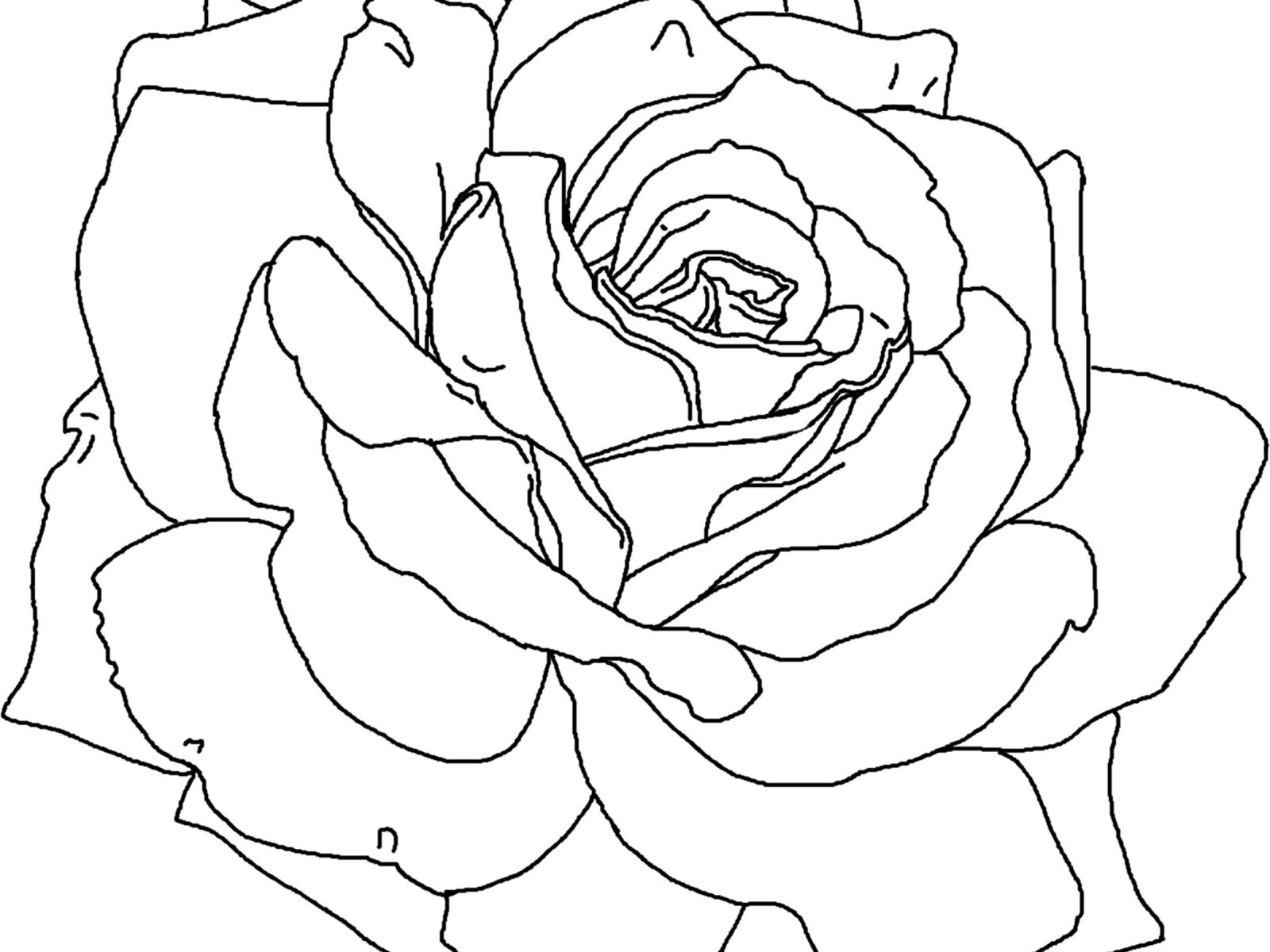 1600x1200 Roses Coloring Pages Free Printable Flowers Pretty Beautiful Red
