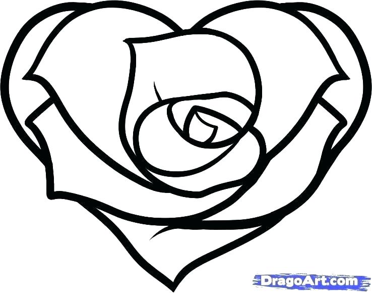 738x580 Coloring Page Heart Coloring Page Rose Drawn Hearts Rose 7