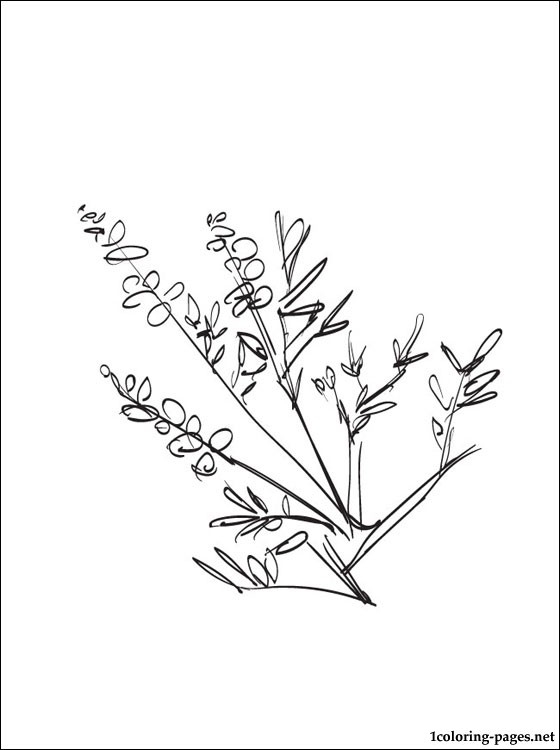 560x750 Heather Coloring Pages Heather Coloring Page For Free Coloring