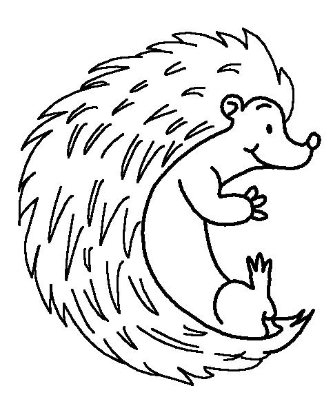 Hedgehog Coloring Page 483x592 Hedgehog Coloring Page