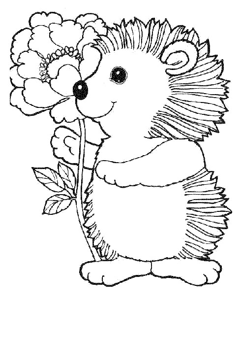 Kids N 32 Coloring Pages Of Hedgehogs 490x690 Kids N 32 Coloring Pages Of Hedgehogs