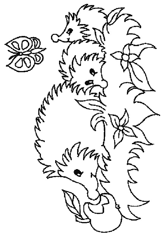 Butterfly And Hedgehog Coloring Page 553x794 Butterfly And Hedgehog Coloring Page