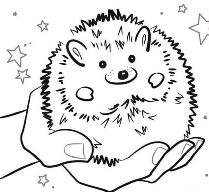 Critters Coloring Pages 712x654 Critters Coloring Pages