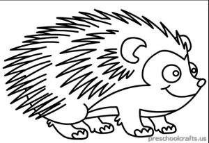 300x206 Hedgehog Coloring Pages For Kids