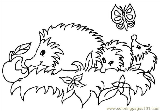 650x452 Hedgehogs 01 (27) Coloring Page
