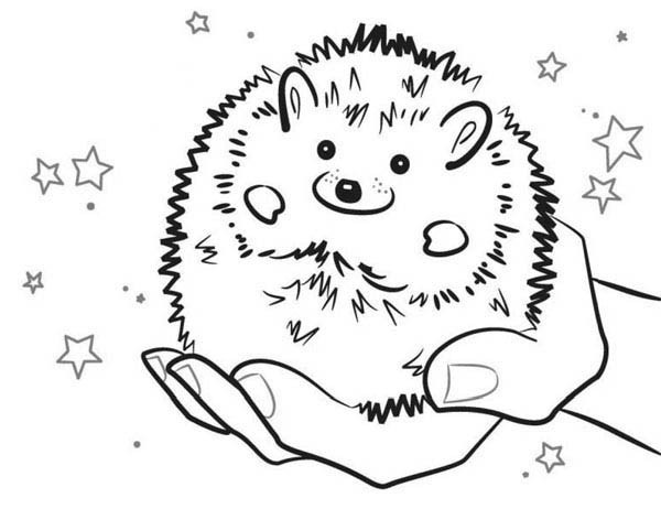 600x462 Hedgehog Coloring Page Ba Hedgehog Smiling Colouring Pages Bulk