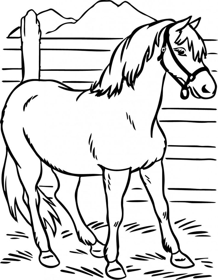 Heifer Coloring Pages