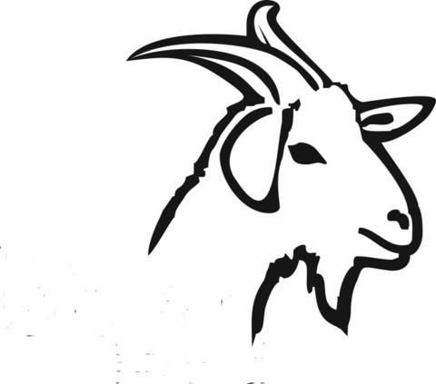 480x423 39 Best Heifer's Digital Influencers Images