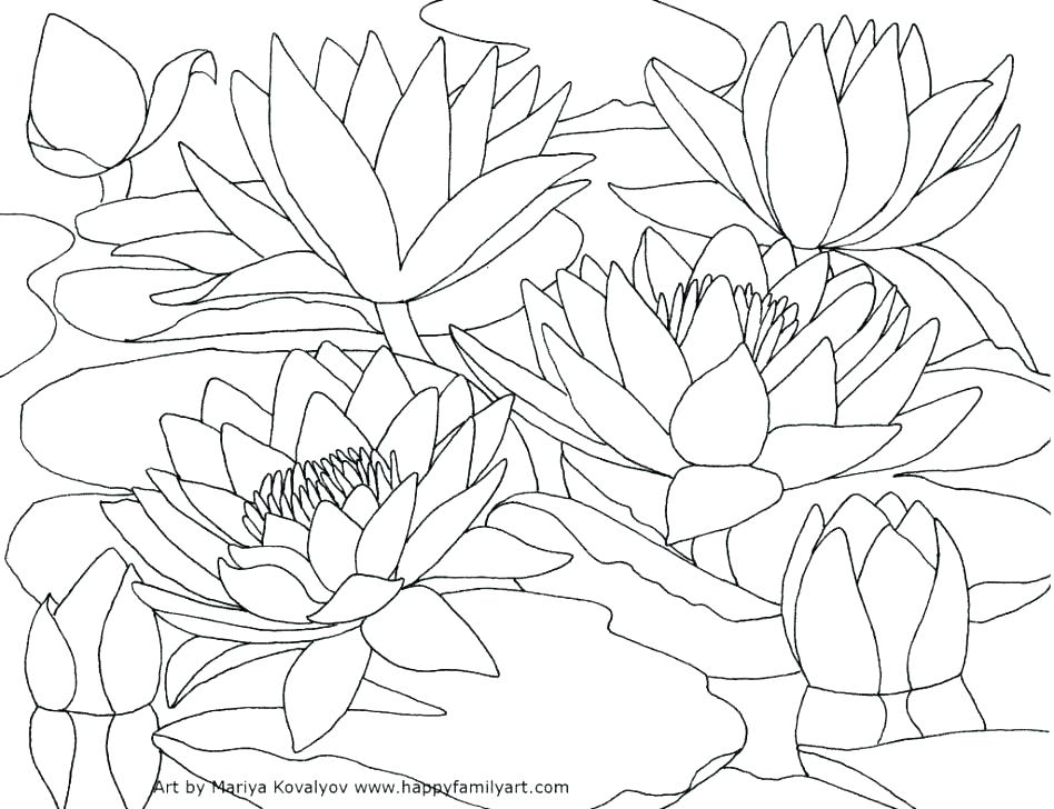 948x728 Claude Monet Coloring Pages Free Coloring Page From The Bridge