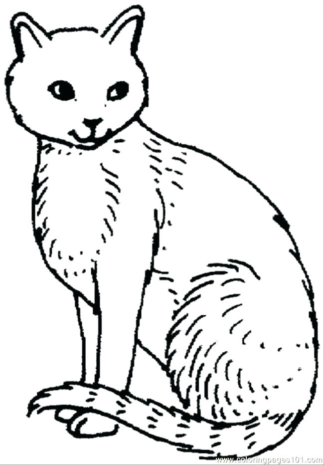 650x932 Cat Coloring Pages Online Free Cat Coloring Pages Coloring Pages
