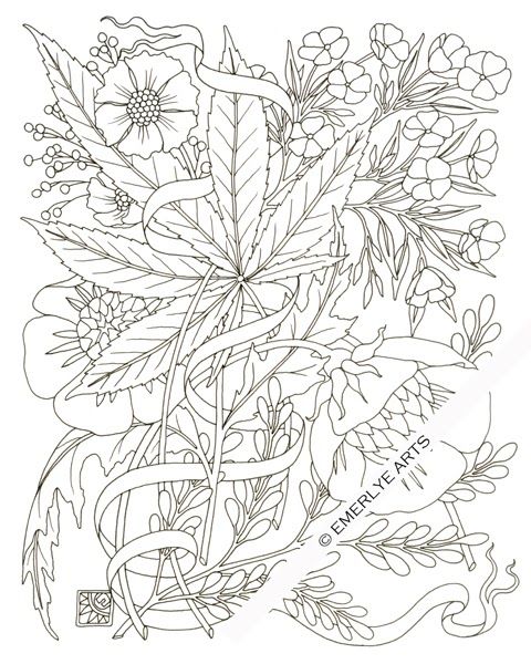 480x600 Hemp Amp Phlox, An Adult Coloring Page By Cynthia Emerlye. This Is