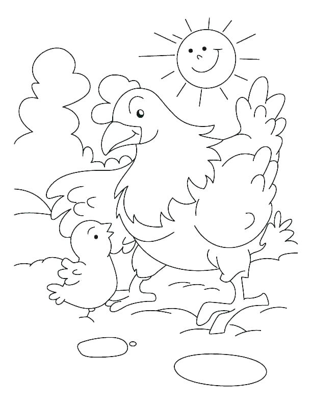 Hen And Chicks Coloring Pages