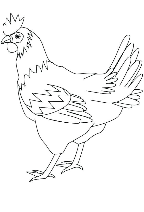 Hen Coloring Pages Hen Coloring Page Hen And Chicks Coloring Page 600x880 Hen Coloring Pages Hen Coloring Page Hen And Chicks Coloring Page