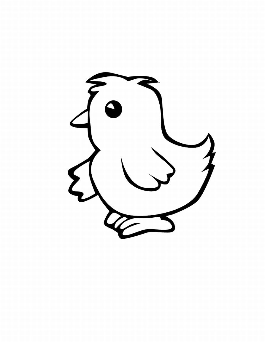 Baby Chick Coloring Pages 893x1155 Baby Chick Coloring Pages