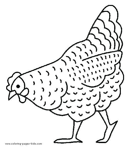 Hen With Chickens Coloring Page For Kids Mother Hen And Chicks 522x602 Hen With Chickens Coloring Page For Kids Mother Hen And Chicks