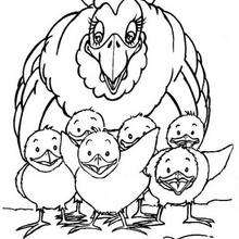 Hen And Chicks Coloring Pages 220x220 Hen And Chicks Coloring Pages