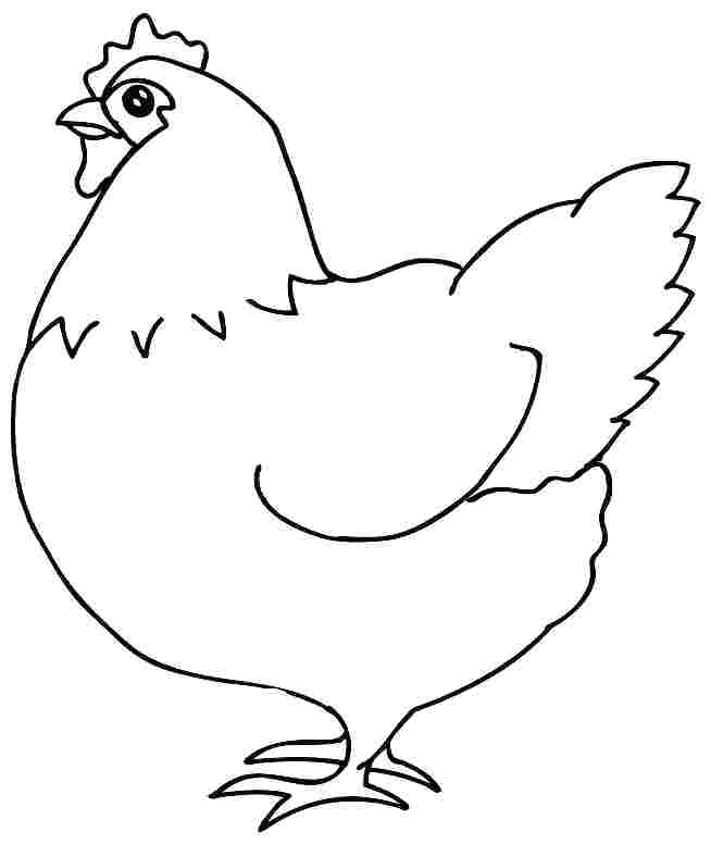 654x776 Hen Coloring Pages Drawing Hen 5 Hen Coloring Pages Free