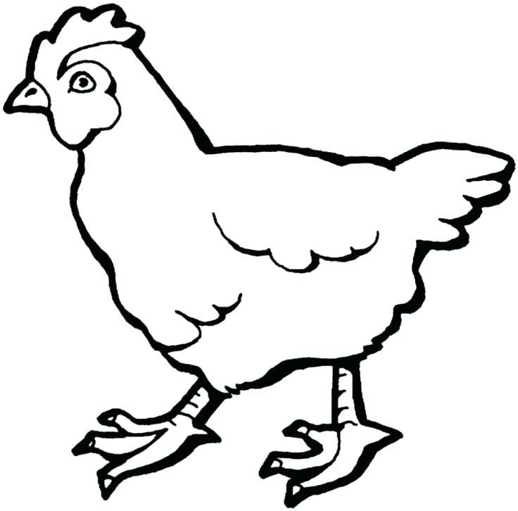 736x726 Hen Coloring Pages Hen Coloring Page Hen Coloring Page Hen