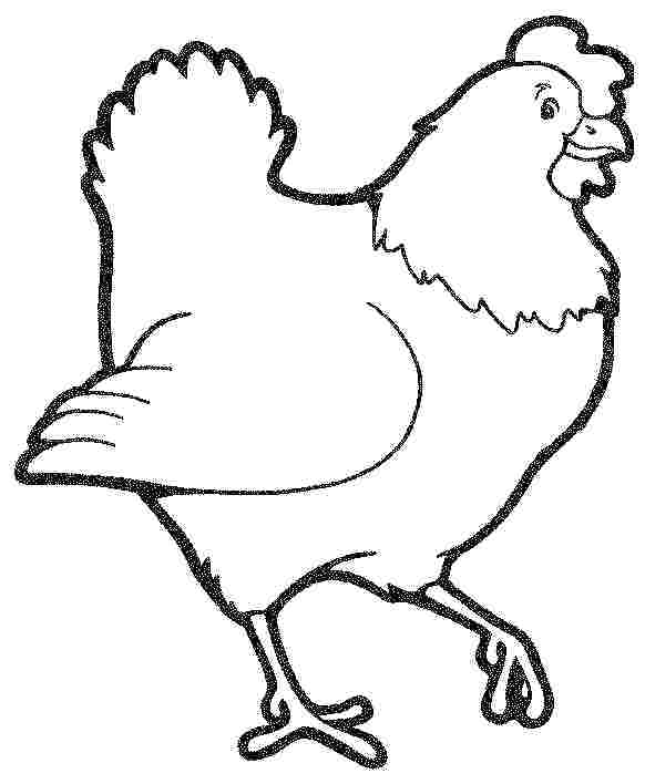 582x708 Hen Coloring Pages Hen Coloring Pages Hen Coloring Pages Hen