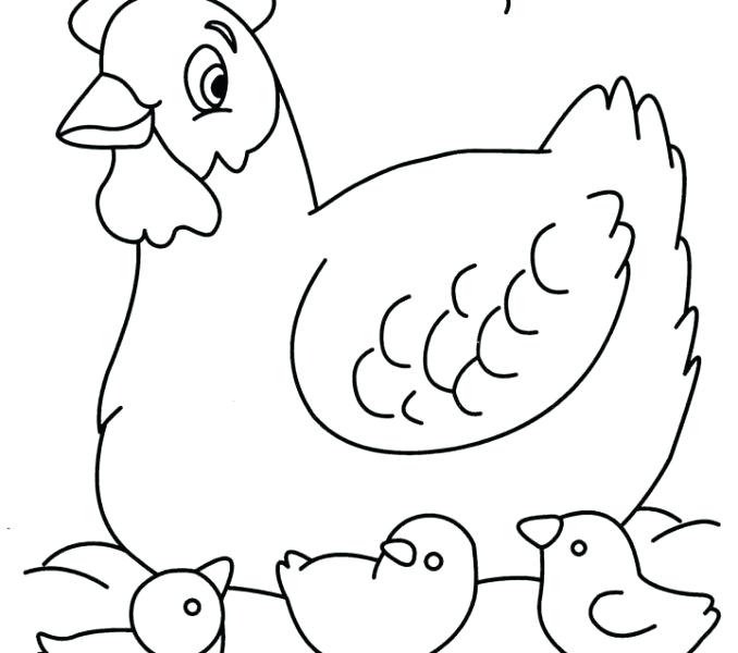678x600 Hen Coloring Pages Jumbo Coloring Pages Hen With Chickens Coloring