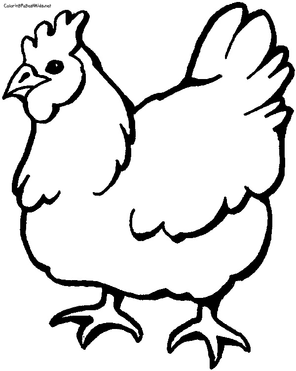 600x751 Hen