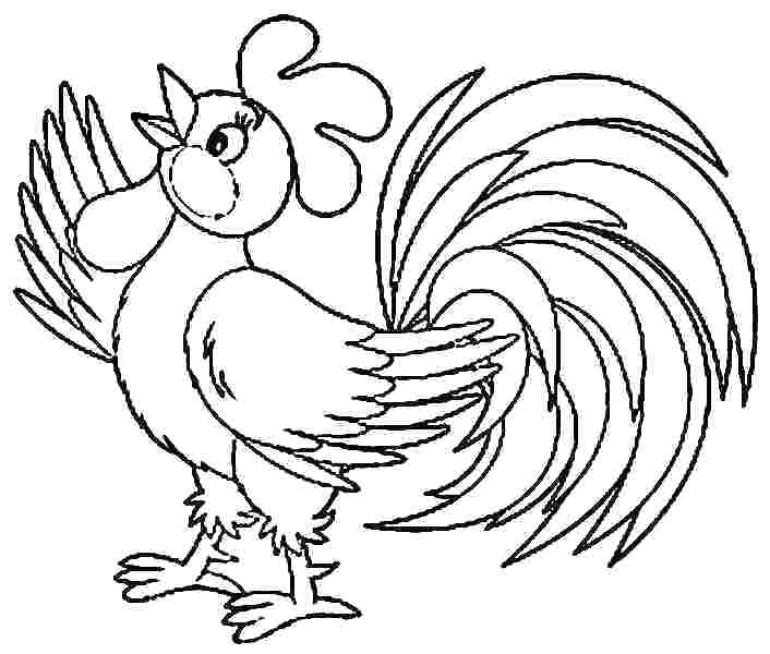 706x600 Rooster Coloring Pages Rooster Coloring Page View Larger Rooster