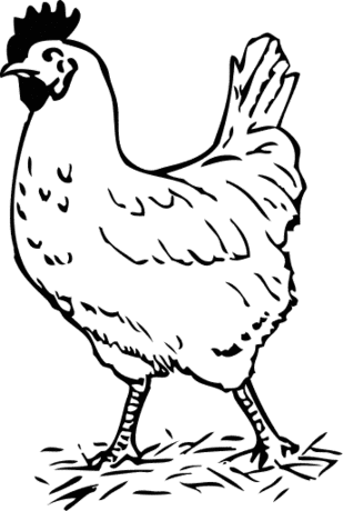 309x460 Free Coloring Pages Of Farm Animals Rooster, Hen, Dog, Pig